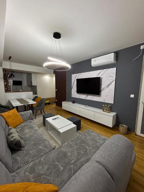 Luxury Apartment in Aerodrom